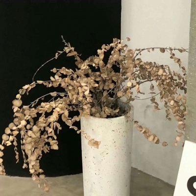 Furry插画风格灵感福瑞交流群